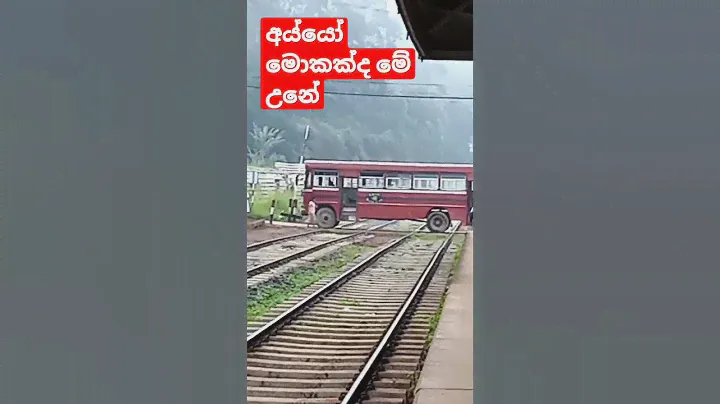 2.7 million views /bus stoped 😭😭😭on railway crossing  unexpectedly|  Heeloya Srilanka|trainSL|BUS🚒🙏