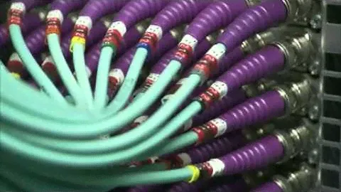 Colours - BBC Motion Gallery