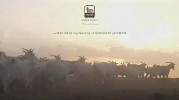 Colombo, la passione di una famiglia, la missione di un'impresa