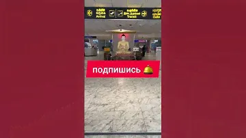 Международный аэропорт Бандаранаике в г. Коломбо 2024 #аэропорт #коломбо #шриланка #туризм