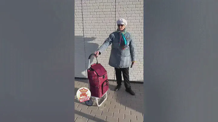ШИКАРНАЯ тележка для женщин и мужчин. Сумка тележка СУПЕР качество.